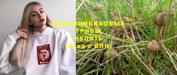 спайс Гусев