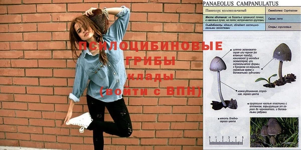 марки nbome Алзамай