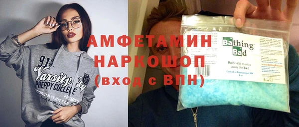 ешки Алексин