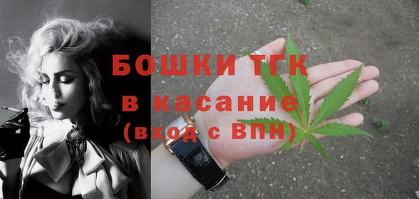 ешки Алексин