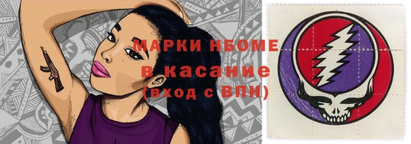ешки Алексин