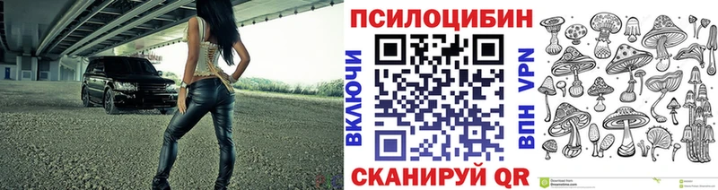 Галлюциногенные грибы Cubensis Пролетарск